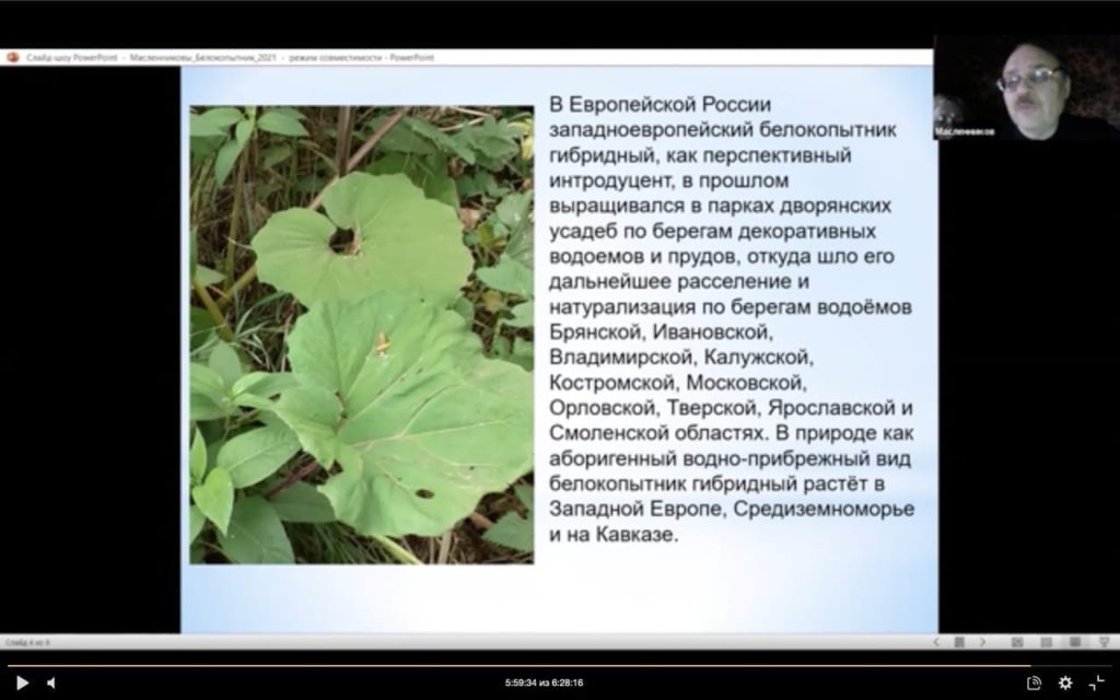 А.В. Масленников