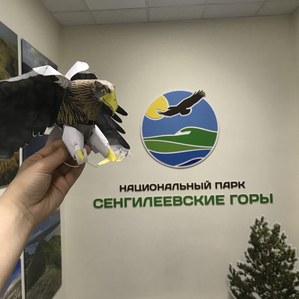 Пернатый гость 1
